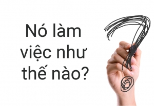 HANDICAP (HDP) LÀ GÌ? HANDICAP (HDP) LÀ GÌ?